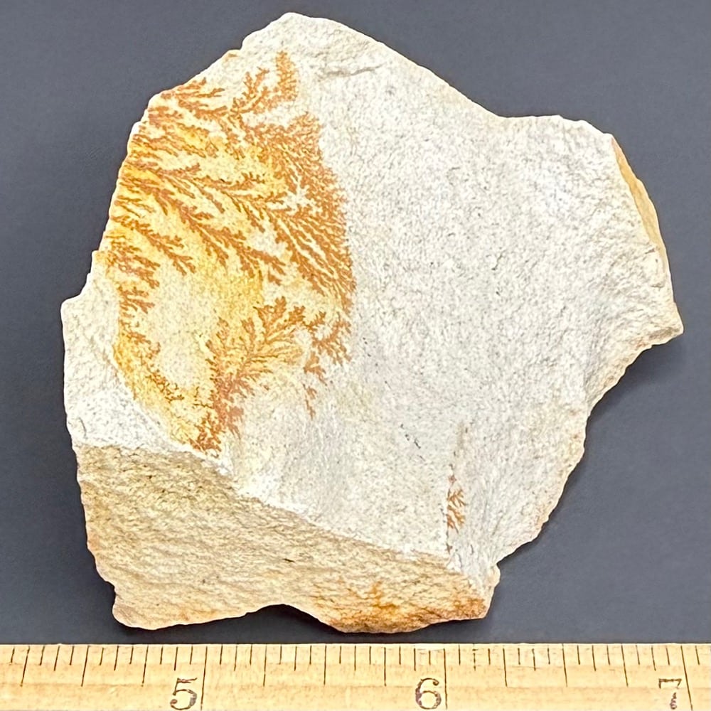 M215 Dendritic Limestone - Image 3