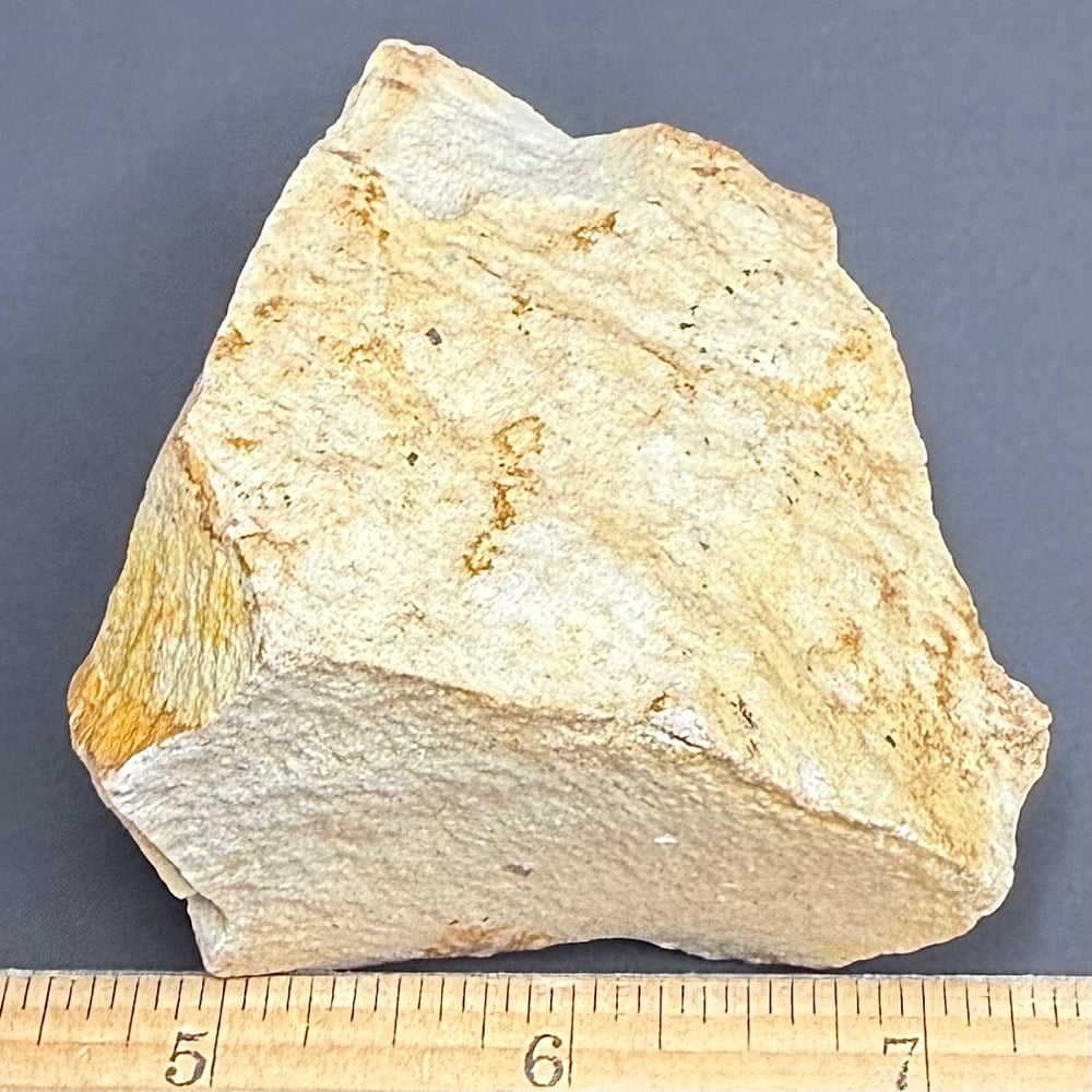 M215 Dendritic Limestone