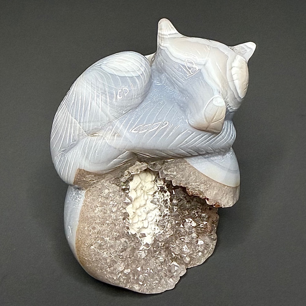 CV404 Brazil Agate Fox