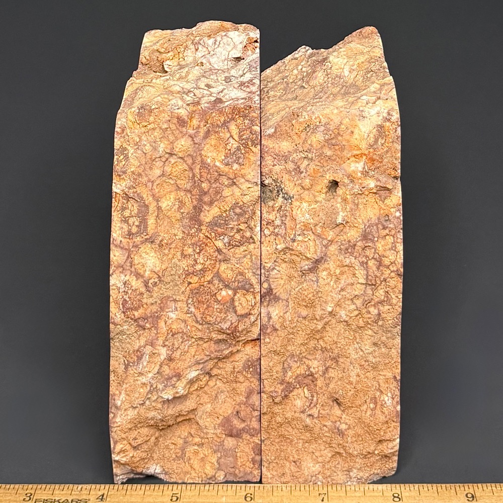 BK410 Birdseye Rhyolite Bookends