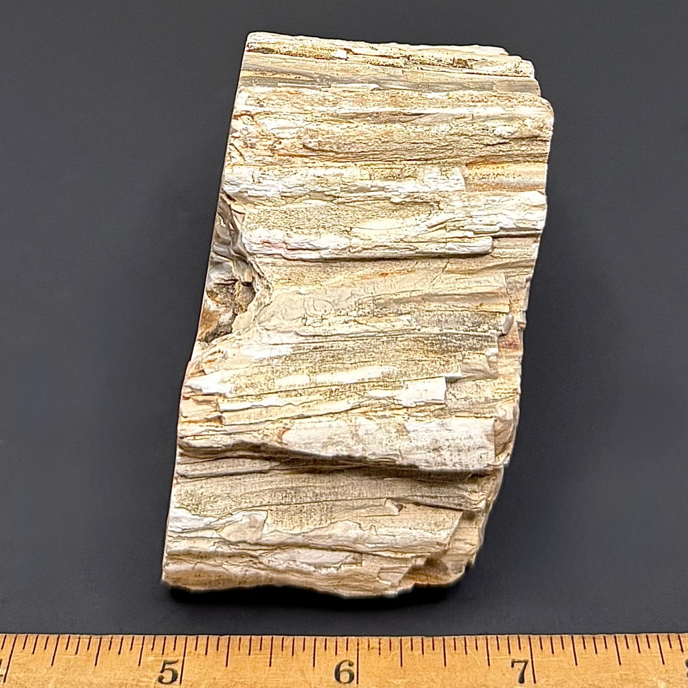 FO411 Petrified Wood - Image 3