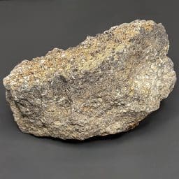 BCR401 Turritella Agate