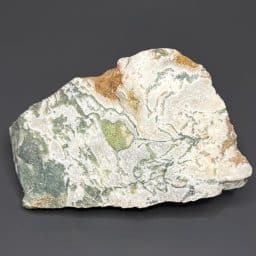BCR404 India Green Tree Agate