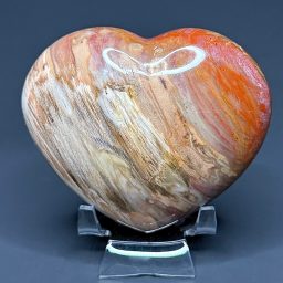 H510 Petrified Wood