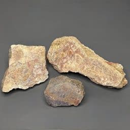 BCR410 Dinosaur Coprolite