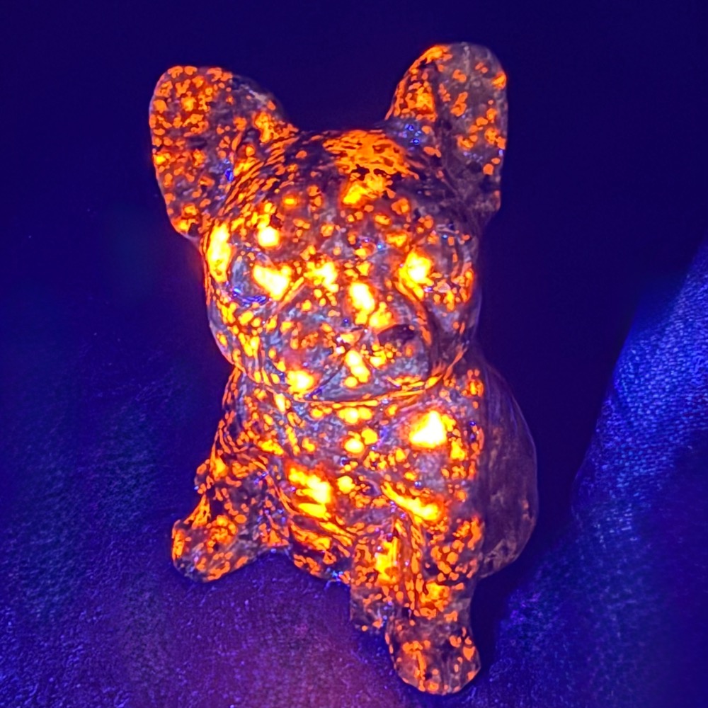 CV411 Yooperlite French Bulldog