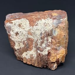 GR102 Arizona Petrified Wood