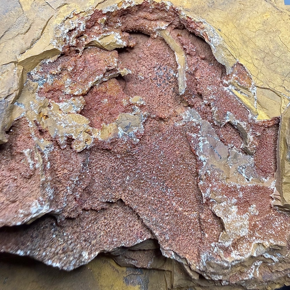 GR211 Tiger Eye - Image 4