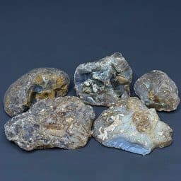 BCR321 Black Skin Agate