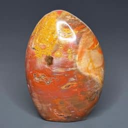 PR506 Petrified Wood Stand Up