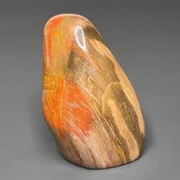 PW202 Madagascar Petrified Stand Up