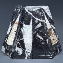 BK501 Orthoceras Bookends