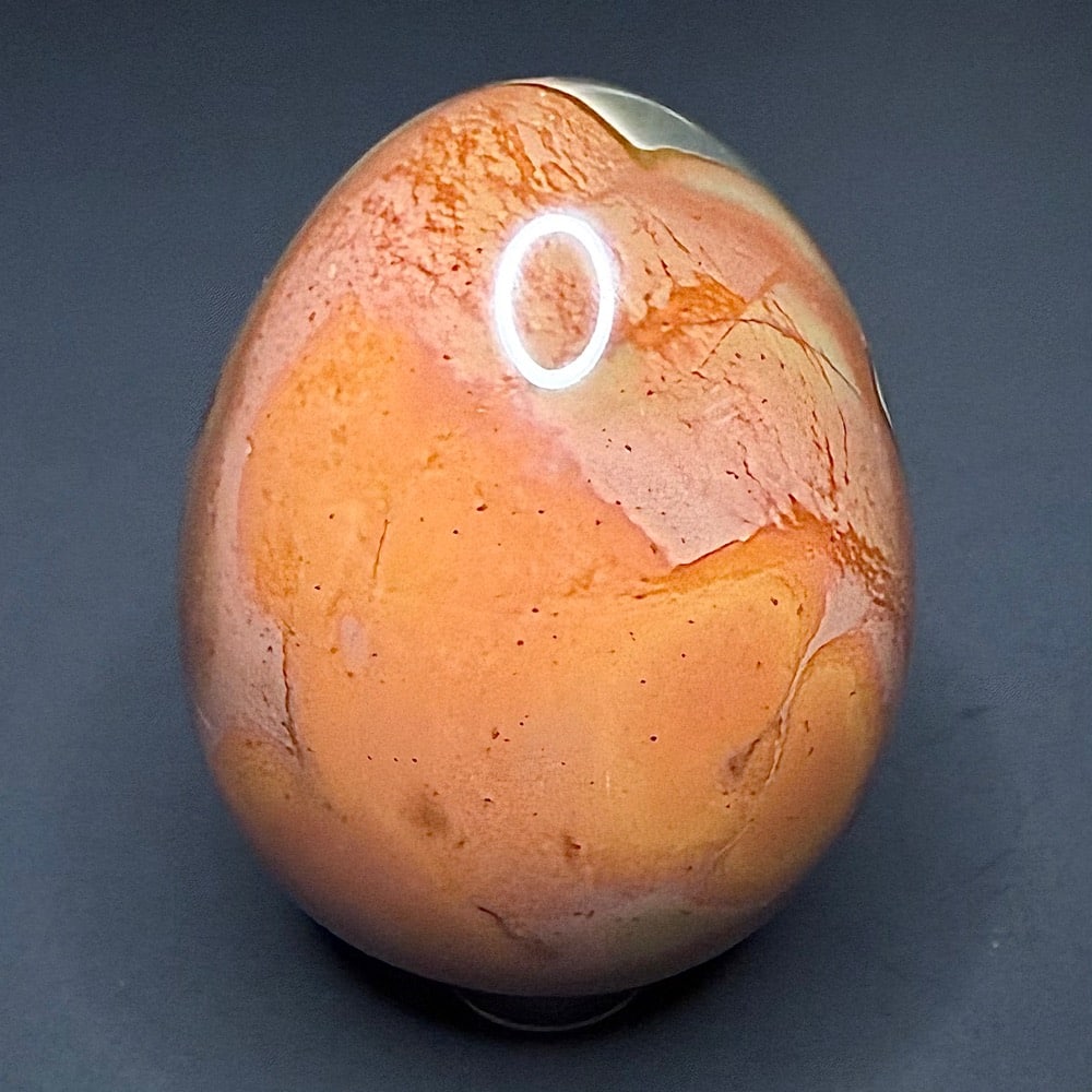 EGG111 Polychrome Jasper