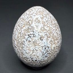 EGG205 Sea Jasper