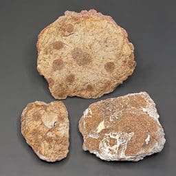 BCR315 Rhyolite Dugway Geode