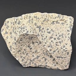 BCR319 Dalmatian Stone