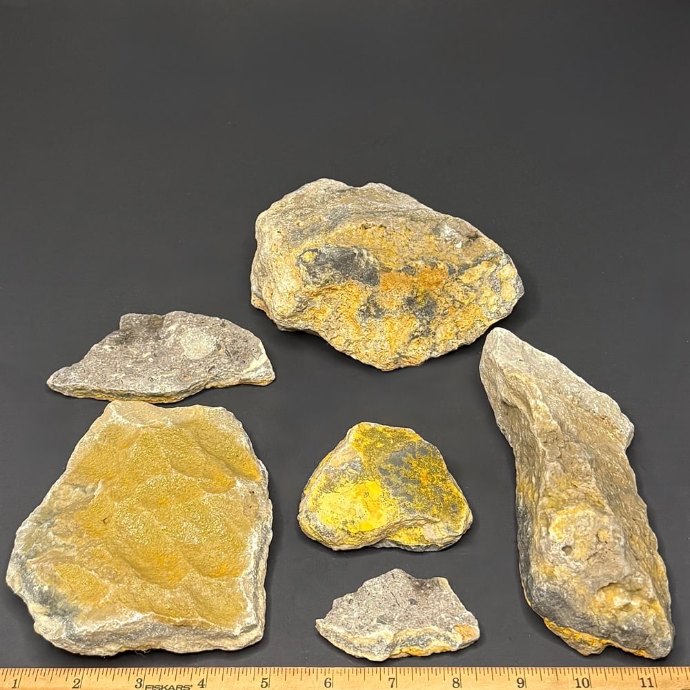 BCR324 Bumble Bee Jasper - Image 2