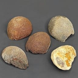 BCR403 Small Brazilian Agate