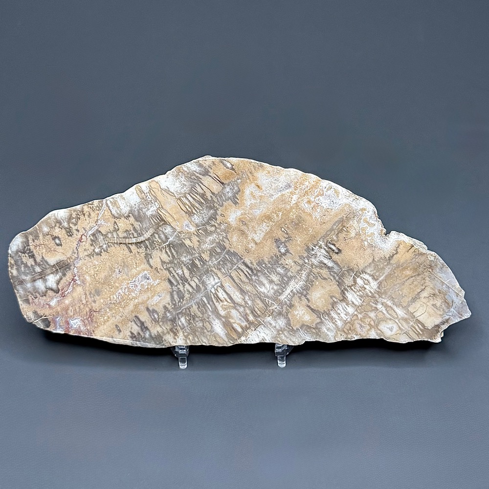 PW208 South Dakota Petrified Wood