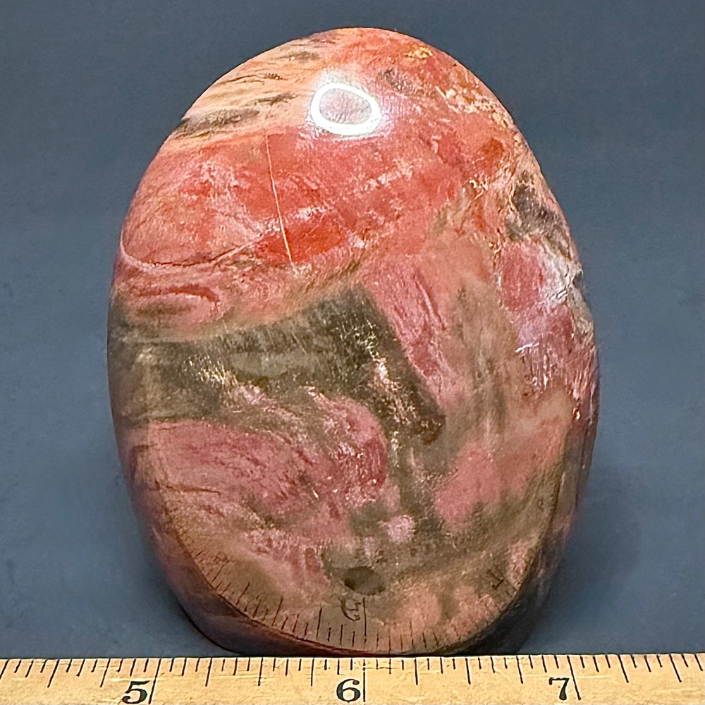 PW202 Madagascar Petrified Stand Up - Image 2