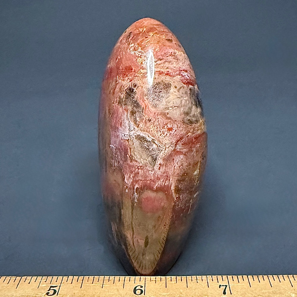 PW202 Madagascar Petrified Stand Up - Image 4