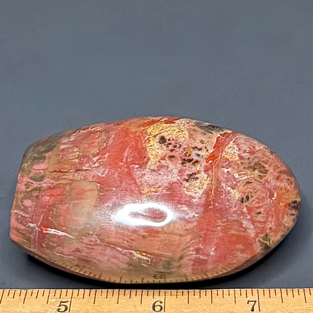 PW202 Madagascar Petrified Stand Up - Image 3