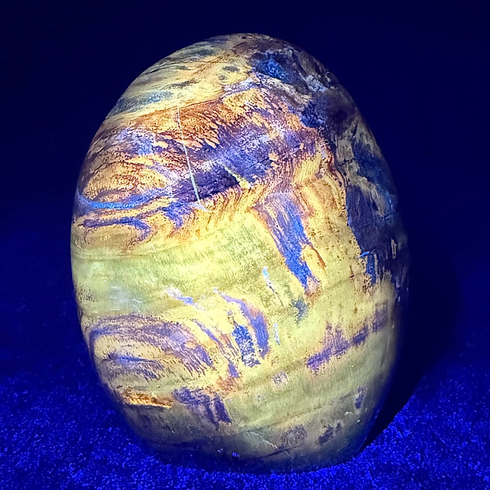 PW202 Madagascar Petrified Stand Up