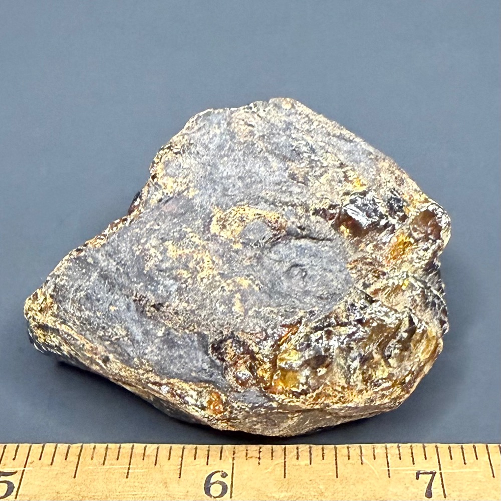 M807 Dark Amber - Image 2