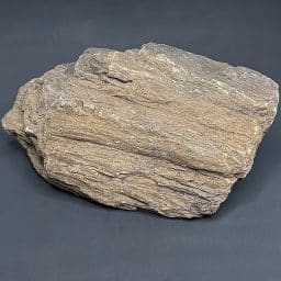 GR114 South Dakota Petrified Wood