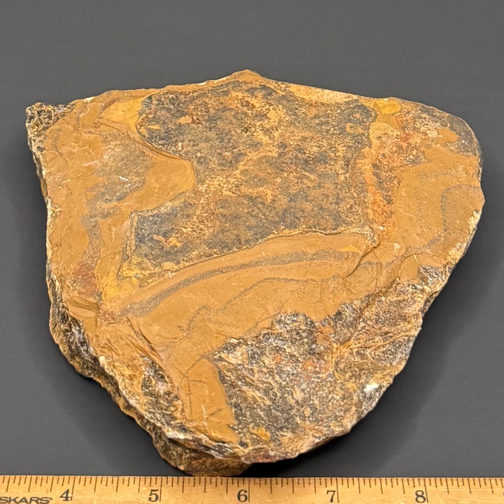 BCR300 Tiger Eye - Image 3