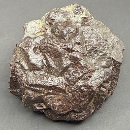 M713 Limonite Pseudomorph