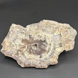 M805 South Dakota Chalcedony