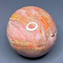 SP107 Petrified Wood