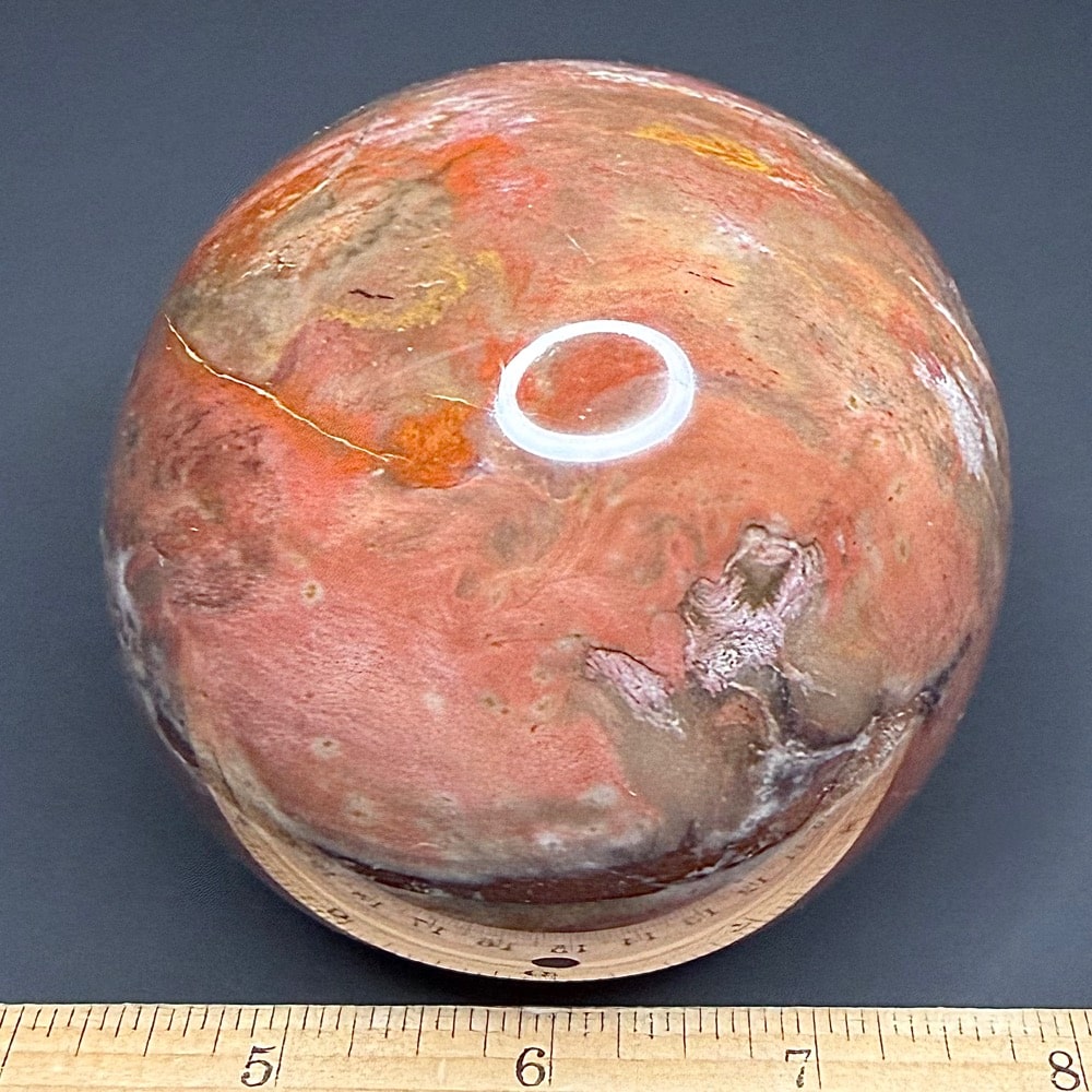 SP107 Petrified Wood - Image 2