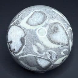 SP109 Fossil Shall Marble