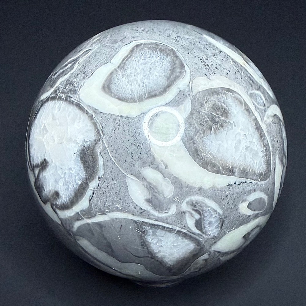 SP109 Fossil Shall Marble