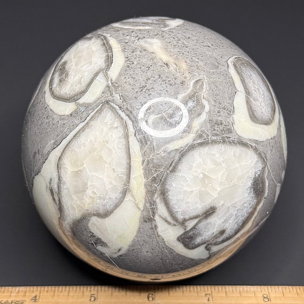SP109 Fossil Shall Marble - Image 2