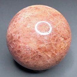 SP500 Cherry Tanzurine