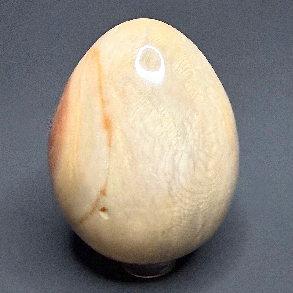 EGG607 Polychrome Jasper