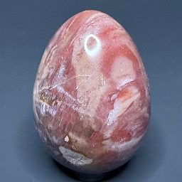 EGG702 Petrified Wood