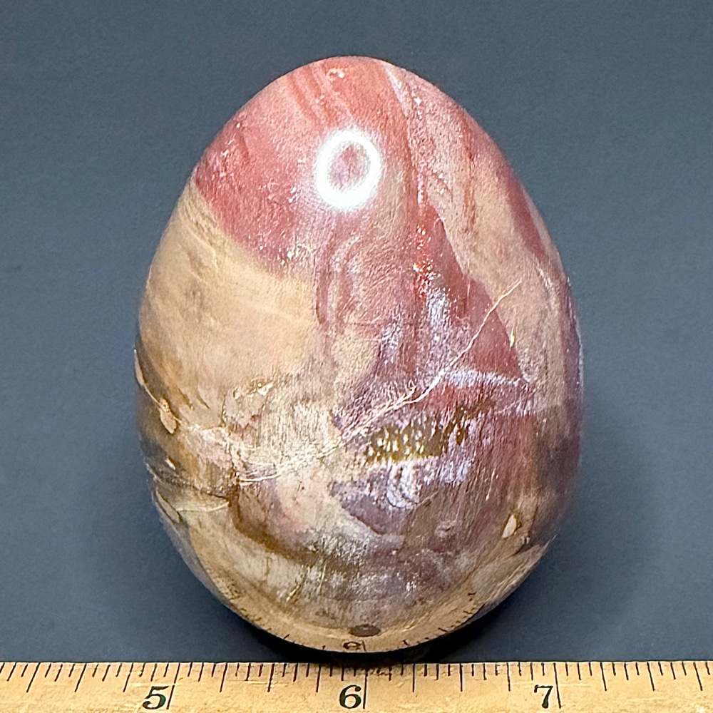 EGG702 Petrified Wood - Image 2