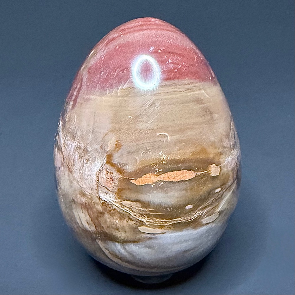 EGG702 Petrified Wood - Image 3