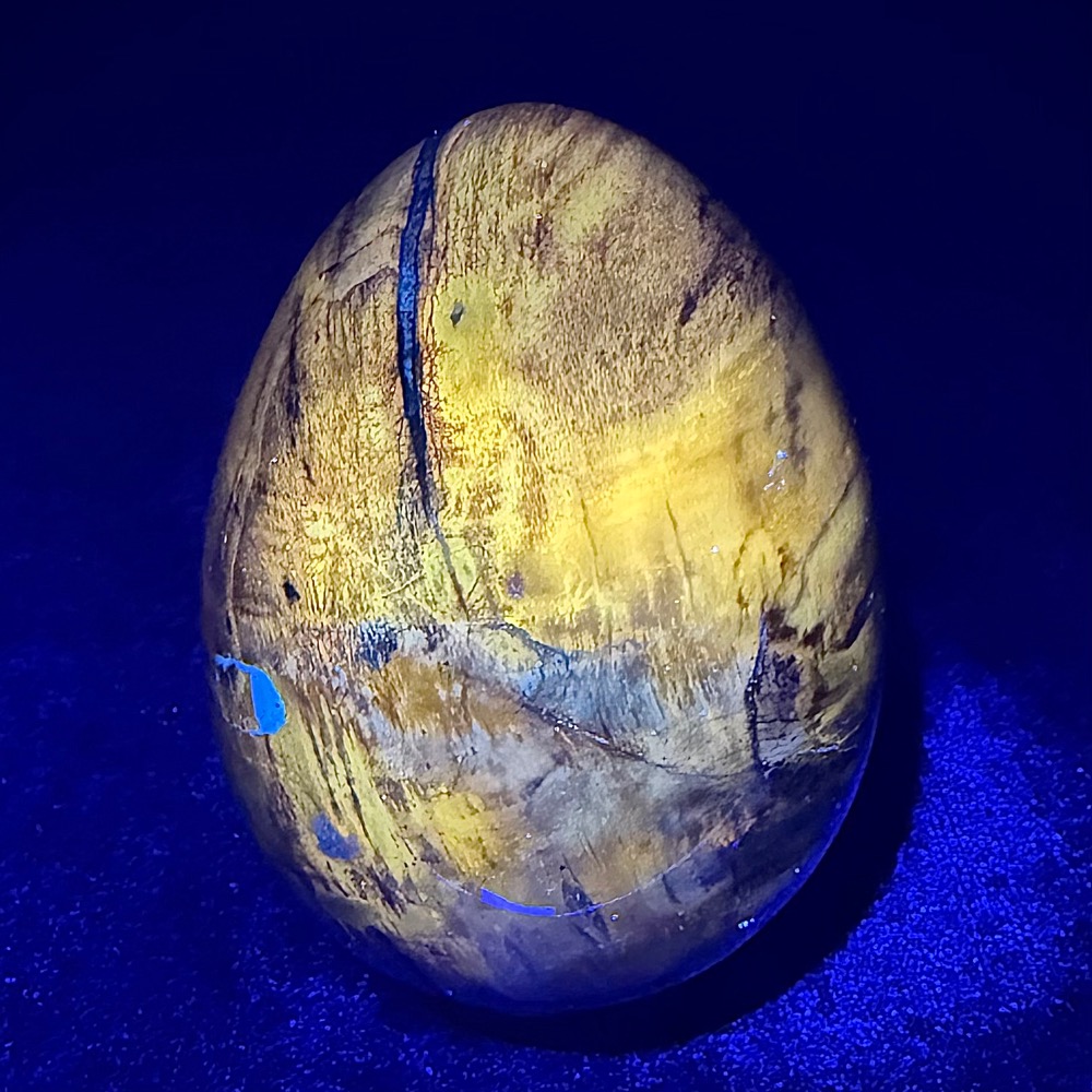 EGG702 Petrified Wood