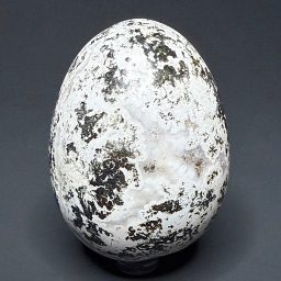 EGG704 Sea Jasper