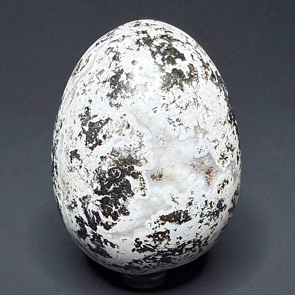 EGG704 Sea Jasper