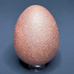 EGG713 Copper