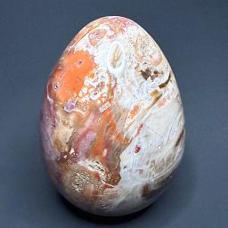 EGG802 Petrified Wood