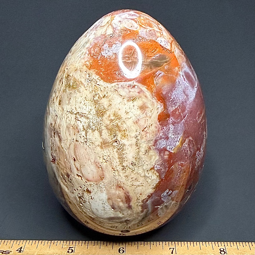EGG802 Petrified Wood - Image 2