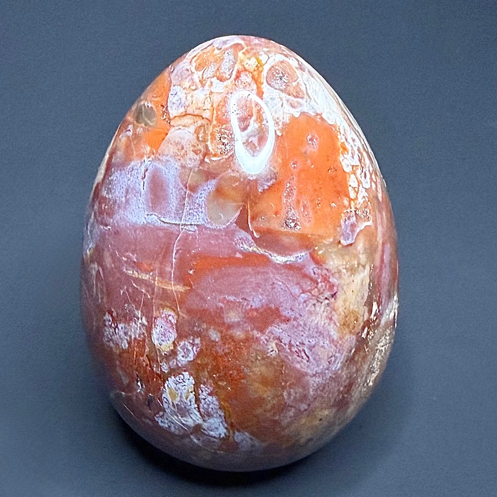 EGG802 Petrified Wood - Image 3