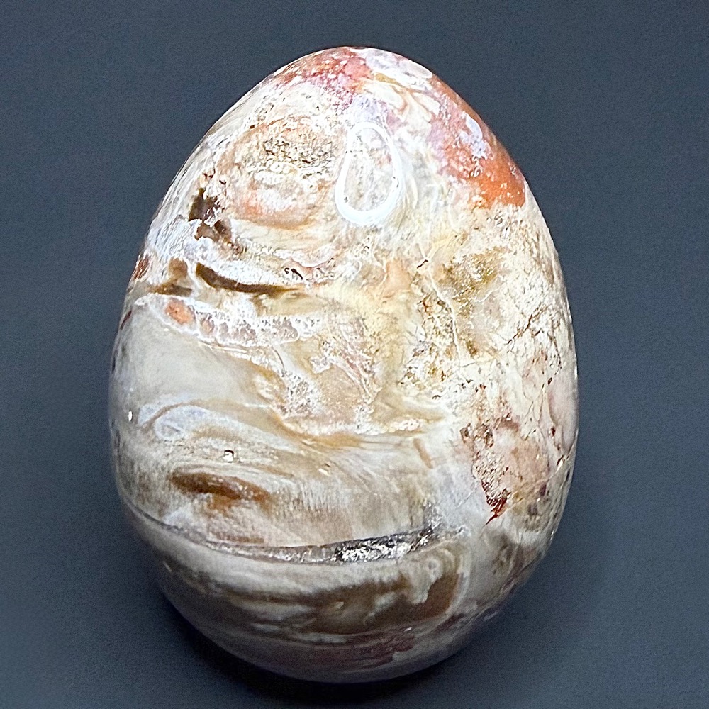 EGG802 Petrified Wood